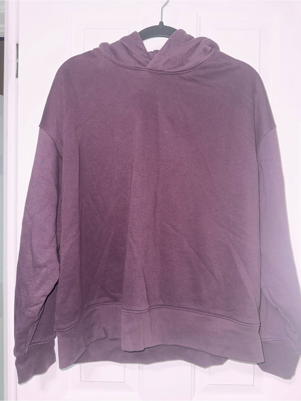American Eagle Outfitters Plum Pullover Hoodie